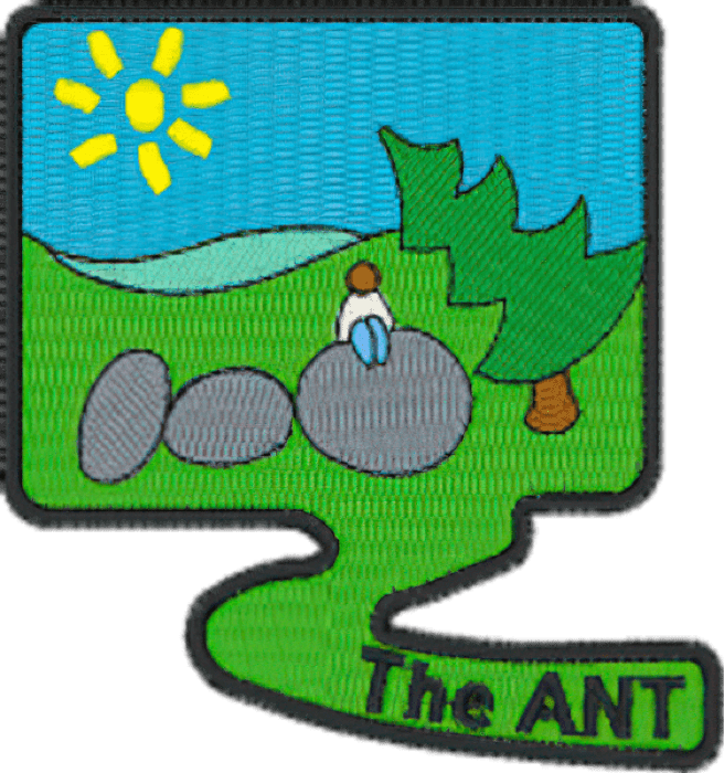 The ANT patch